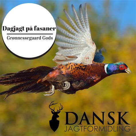 danskjagtformidling|Dansk Jagtformidling